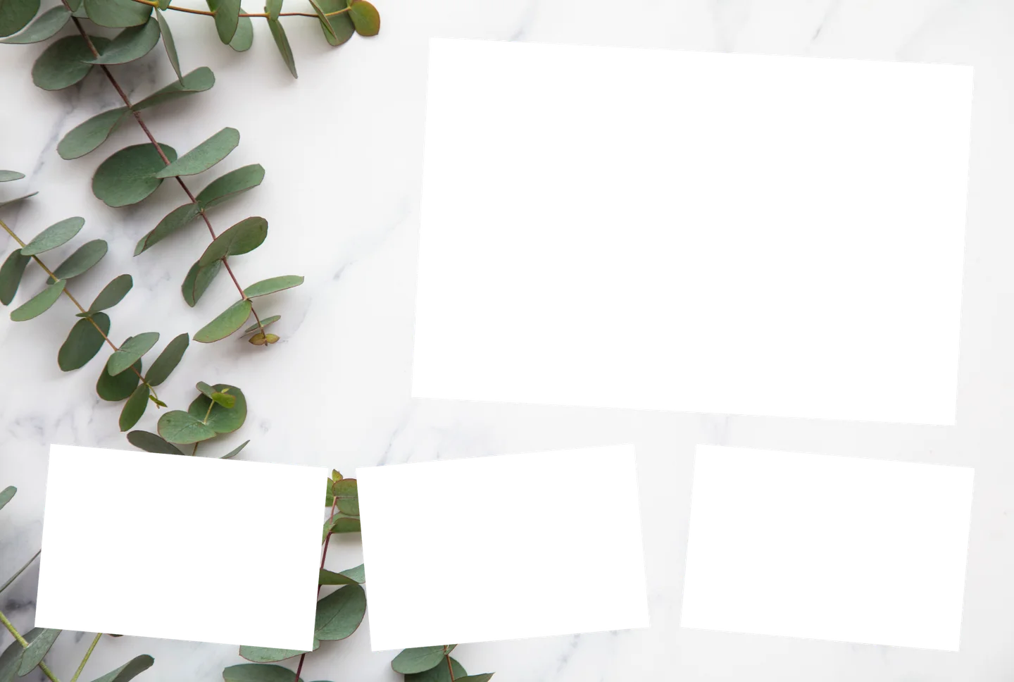 Eukalyptus 02 – 4er-Collage