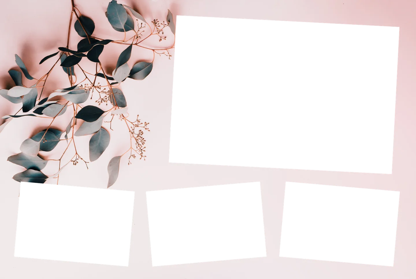 Eukalyptus 03 – 4er-Collage