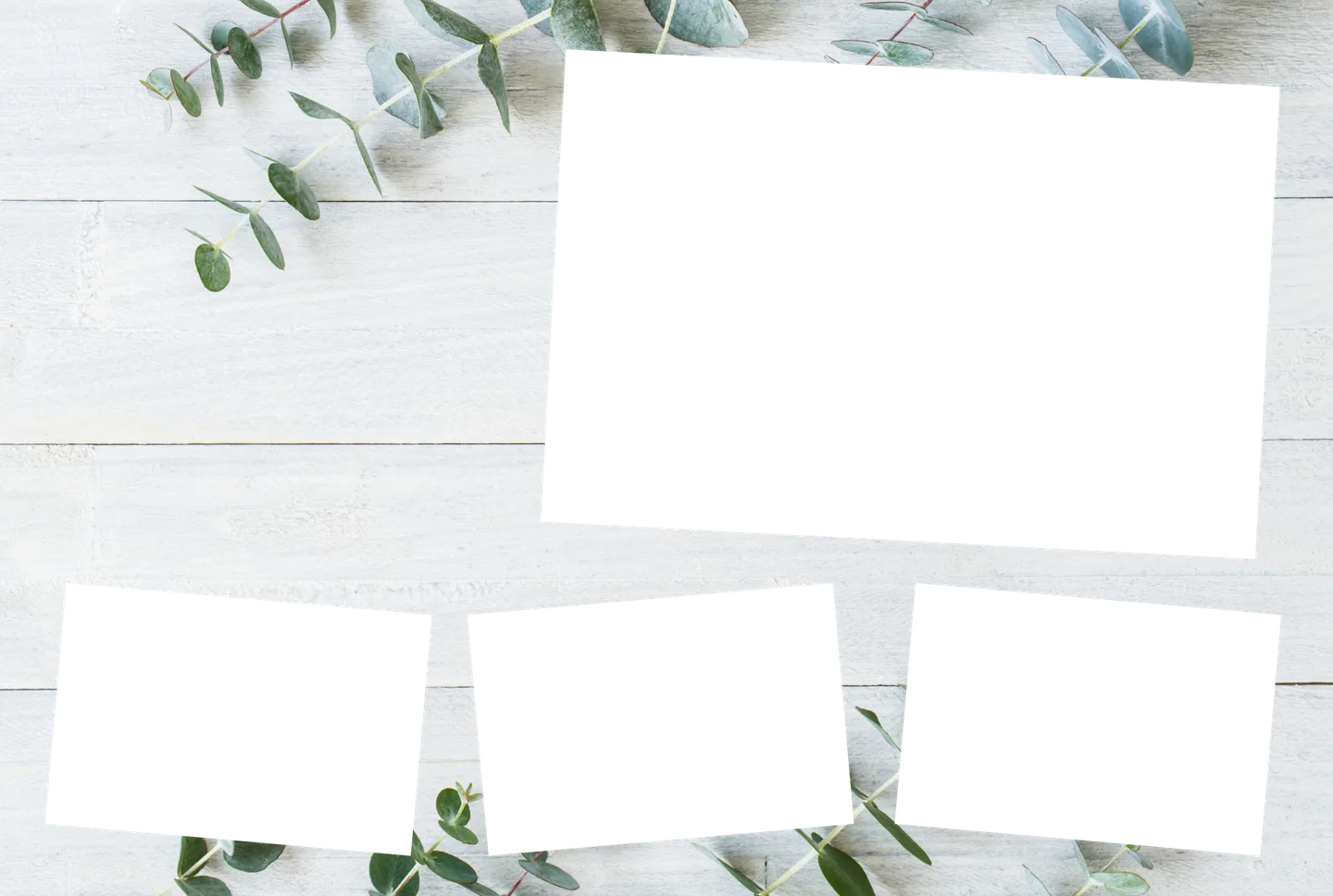 Eukalyptus 04 – 4er-Collage