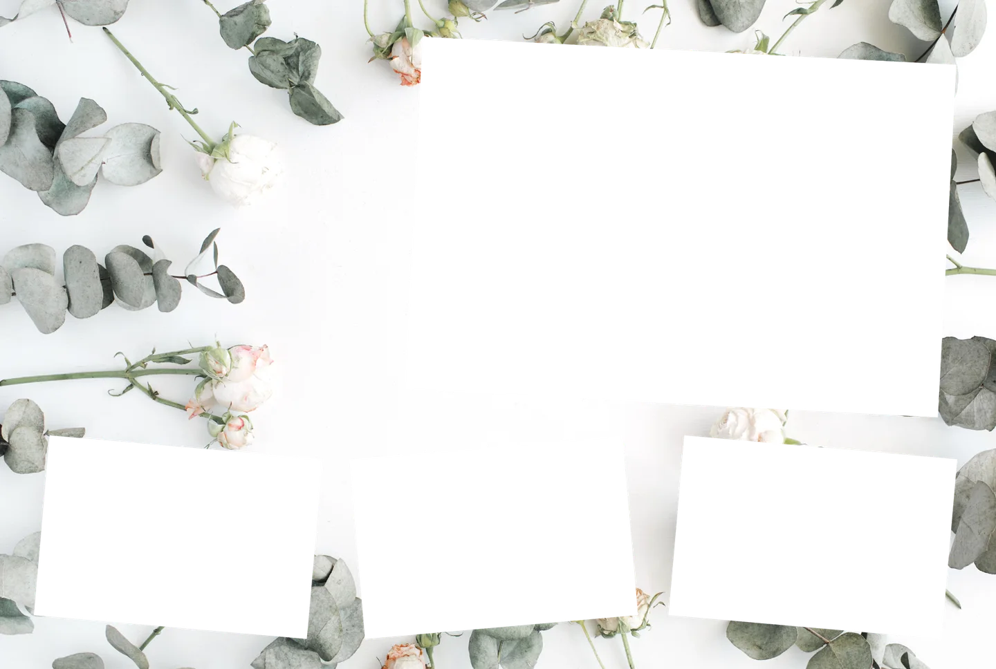 Eukalyptus 05 – 4er-Collage