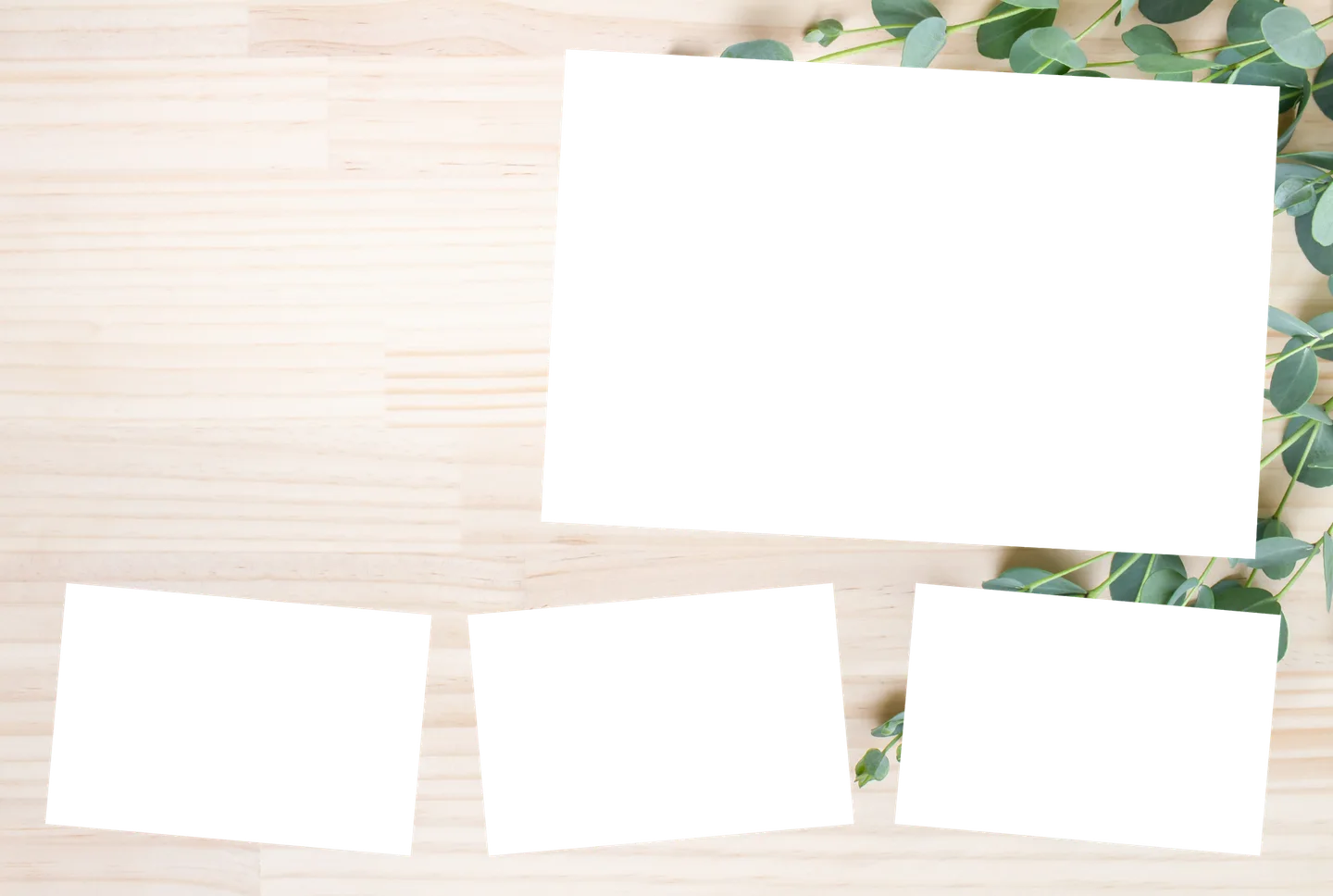 Eukalyptus 06 – 4er-Collage