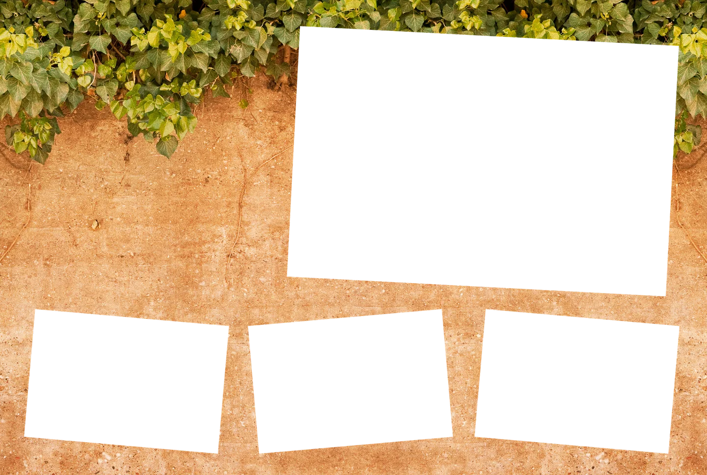 Eukalyptus 08 – 4er-Collage