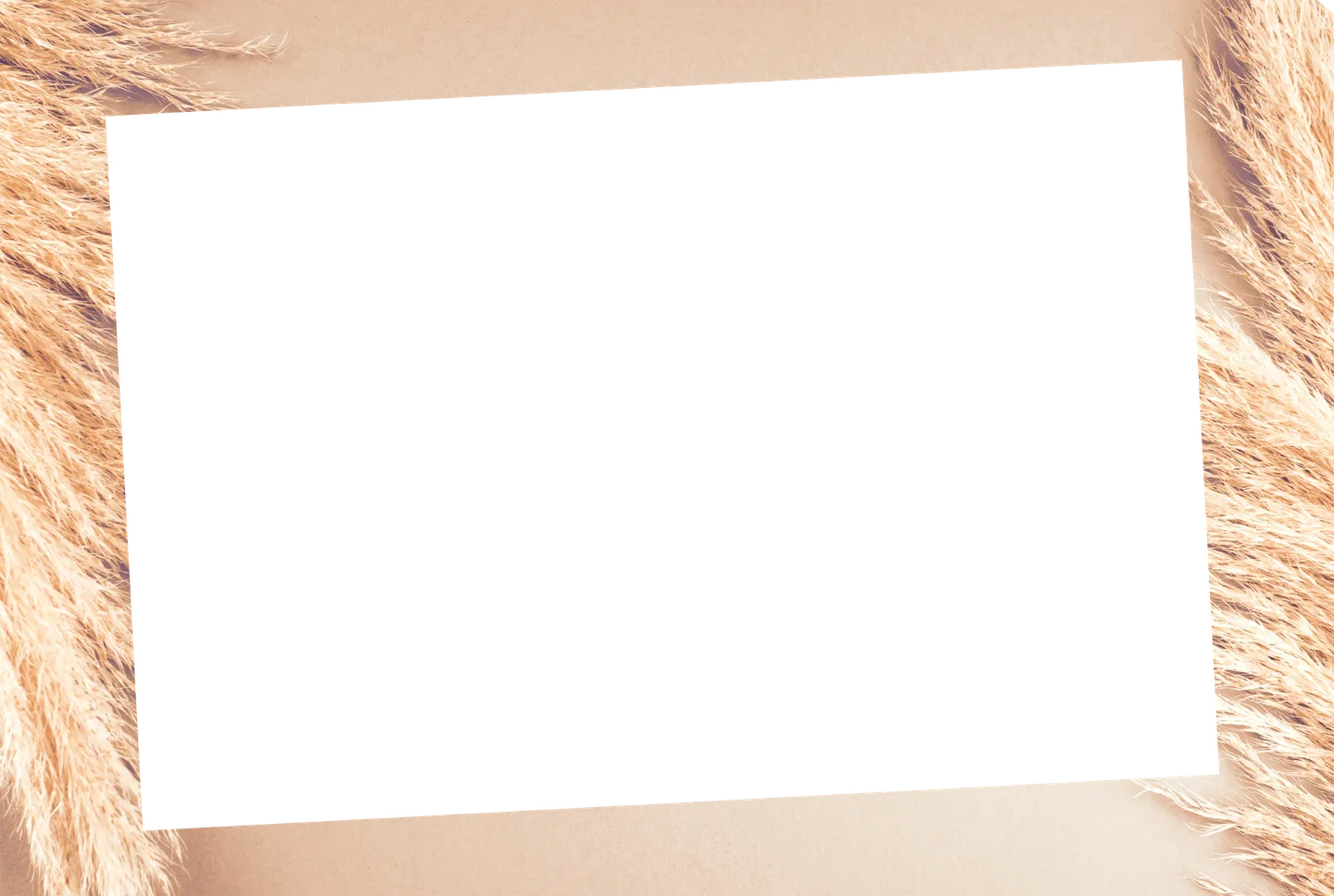 Beige 06 – Einzelfoto