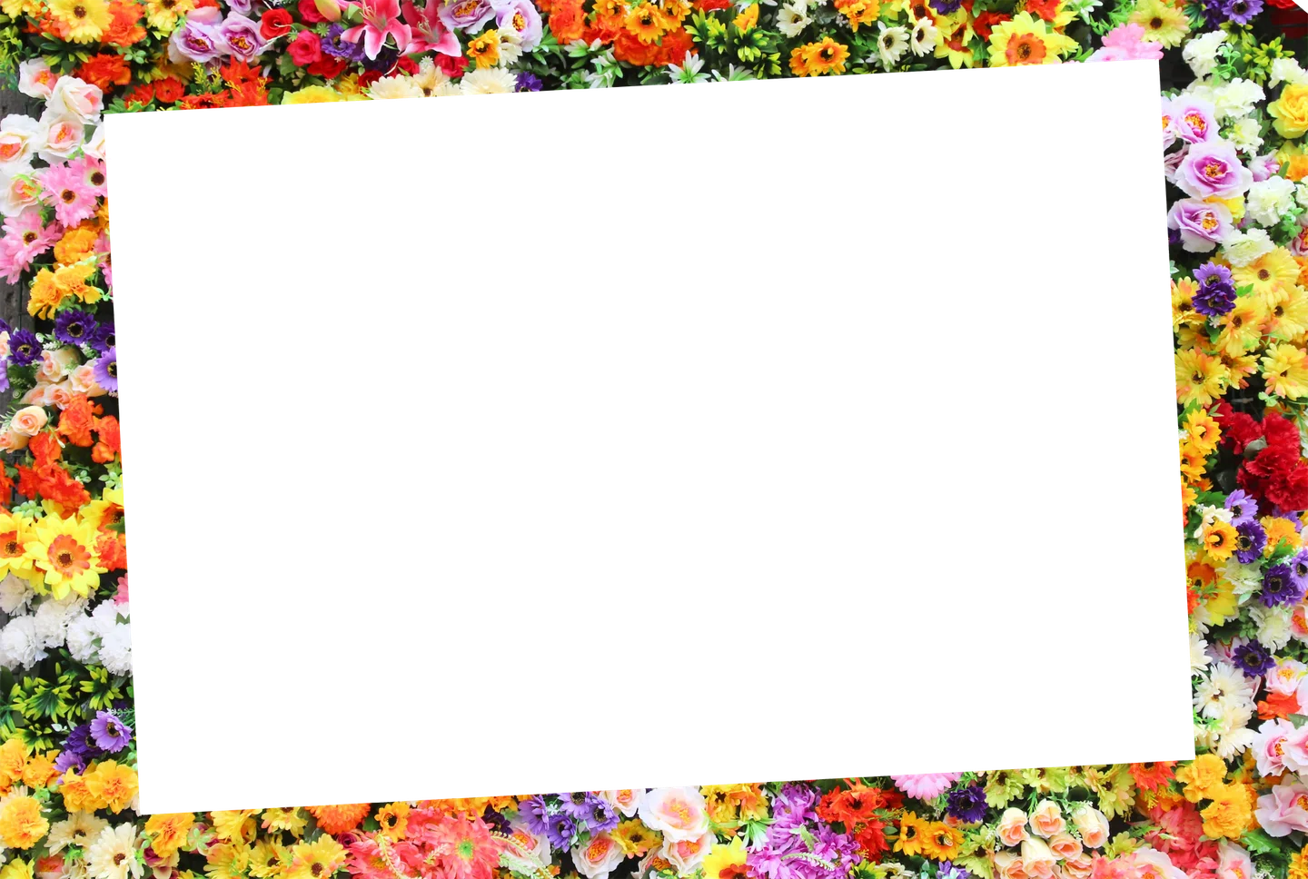 Blumen 01 – Einzelfoto
