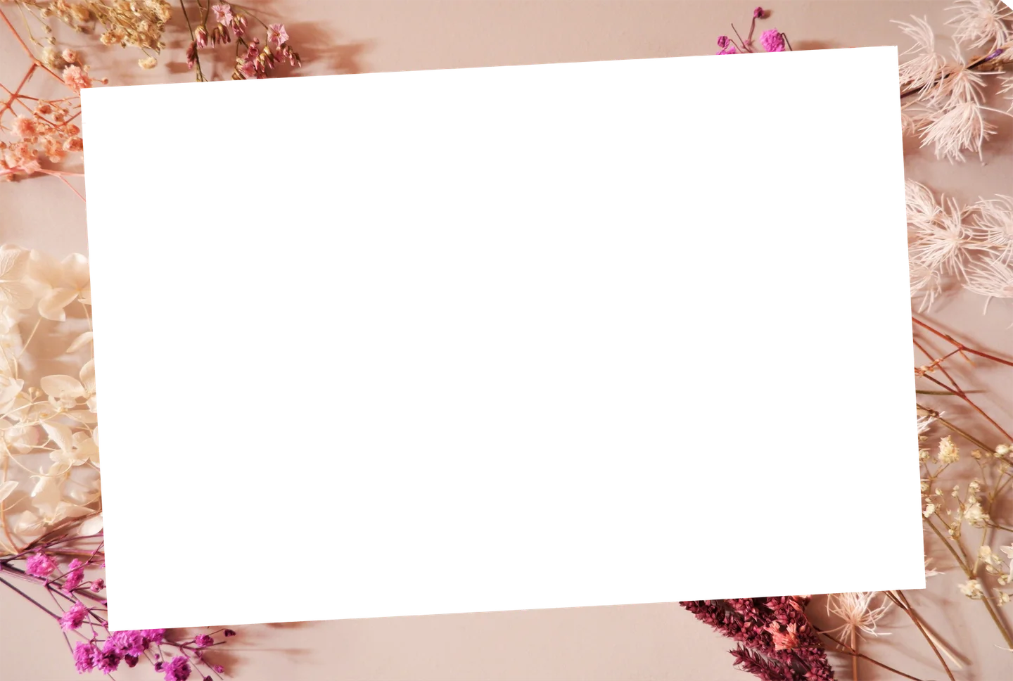 Blumen 05 – Einzelfoto