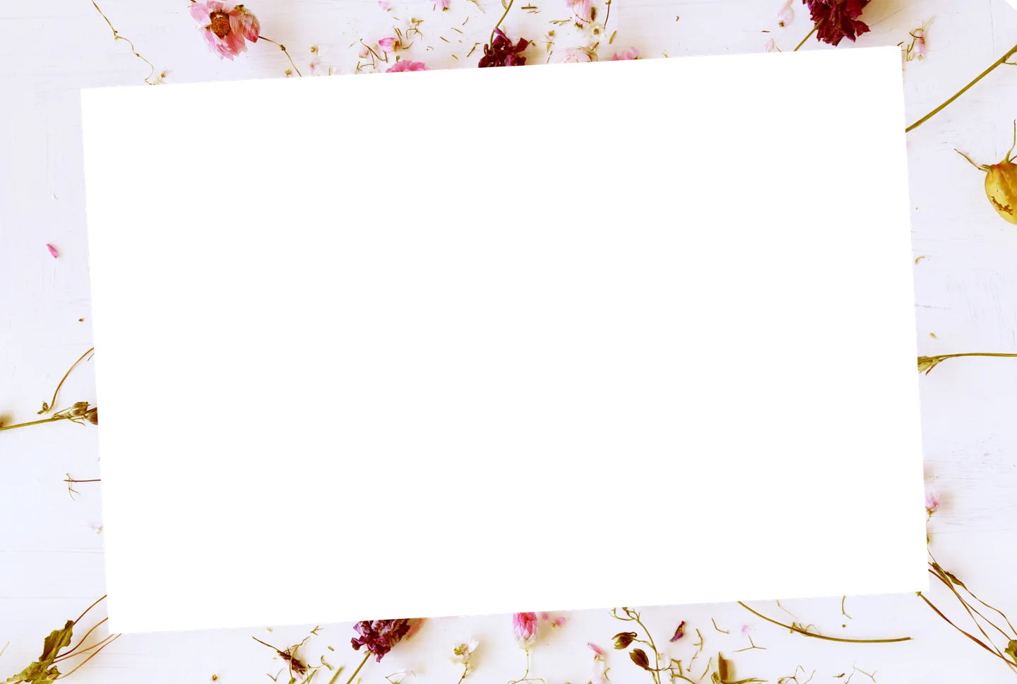 Blumen 07 – Einzelfoto