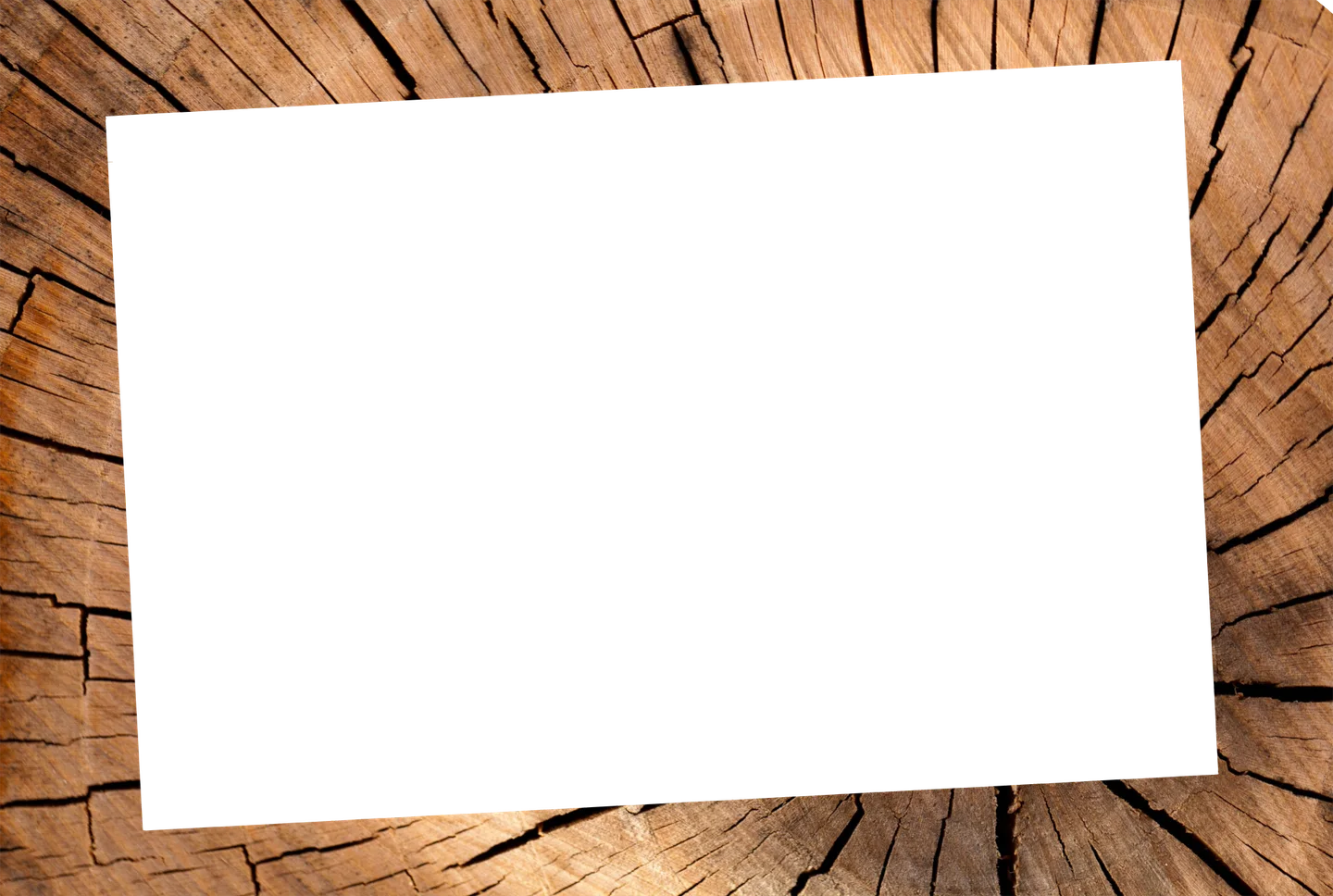 Holz 03 – Einzelfoto