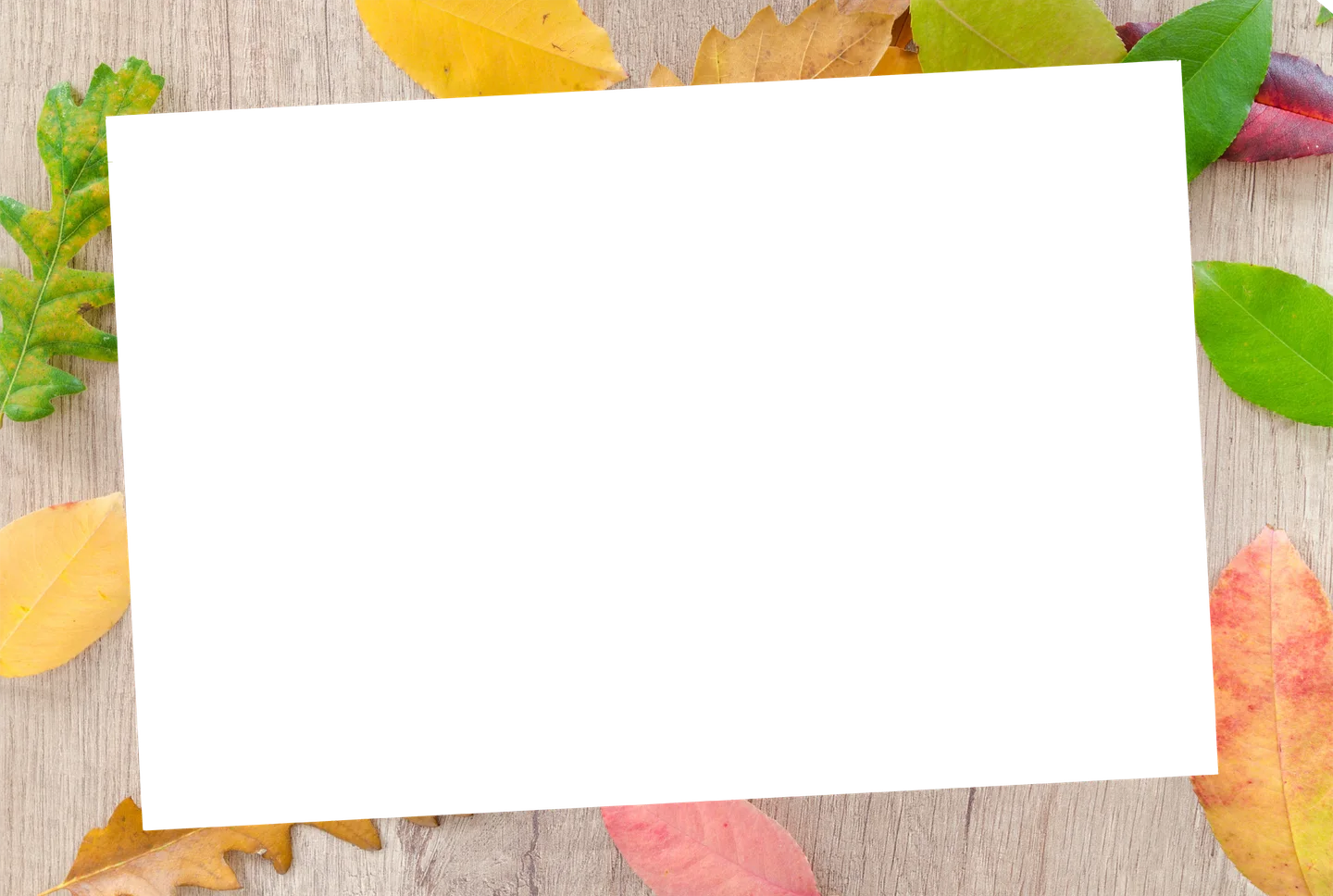 Holz 07 – Einzelfoto