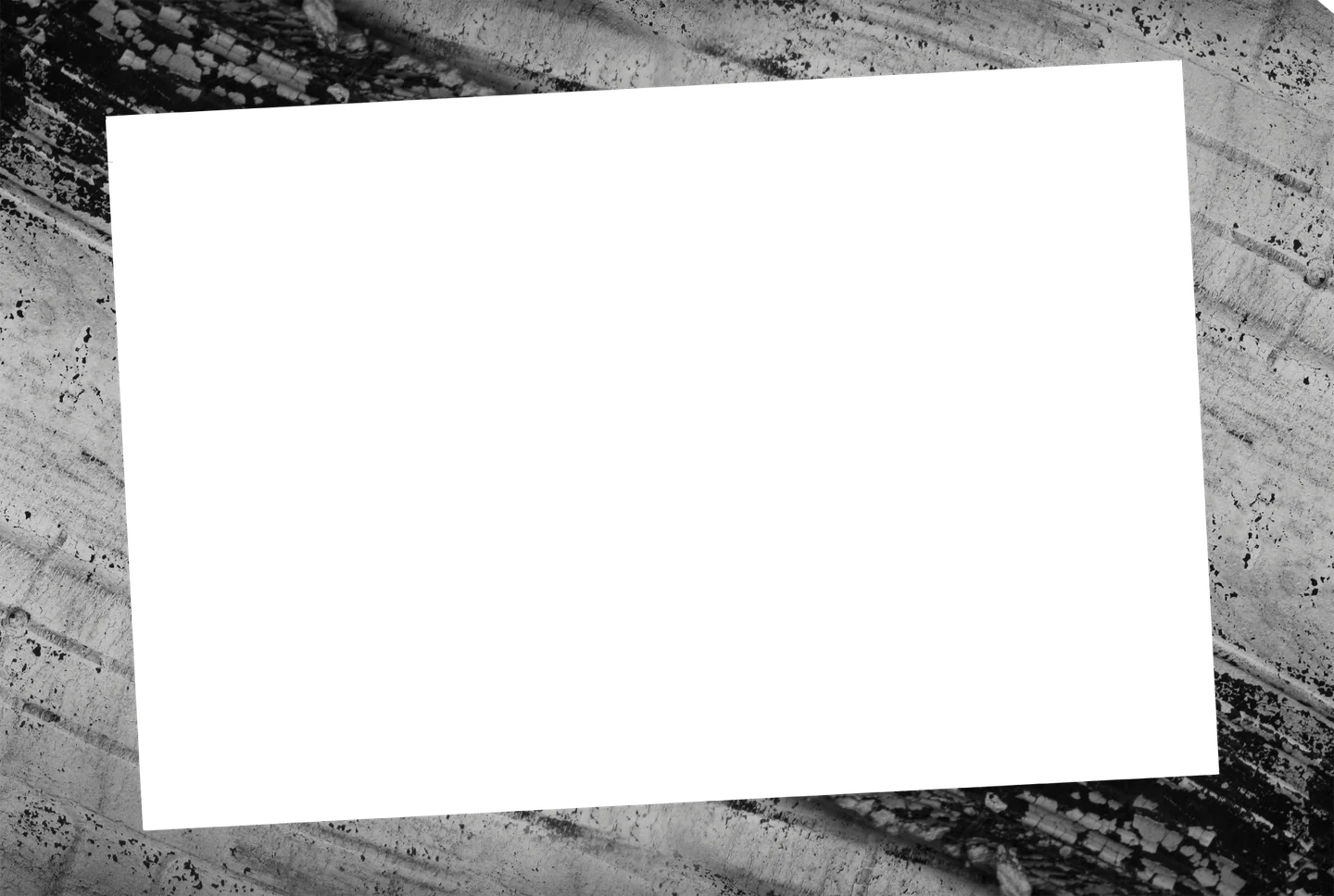 Schwarz 09 – Einzelfoto