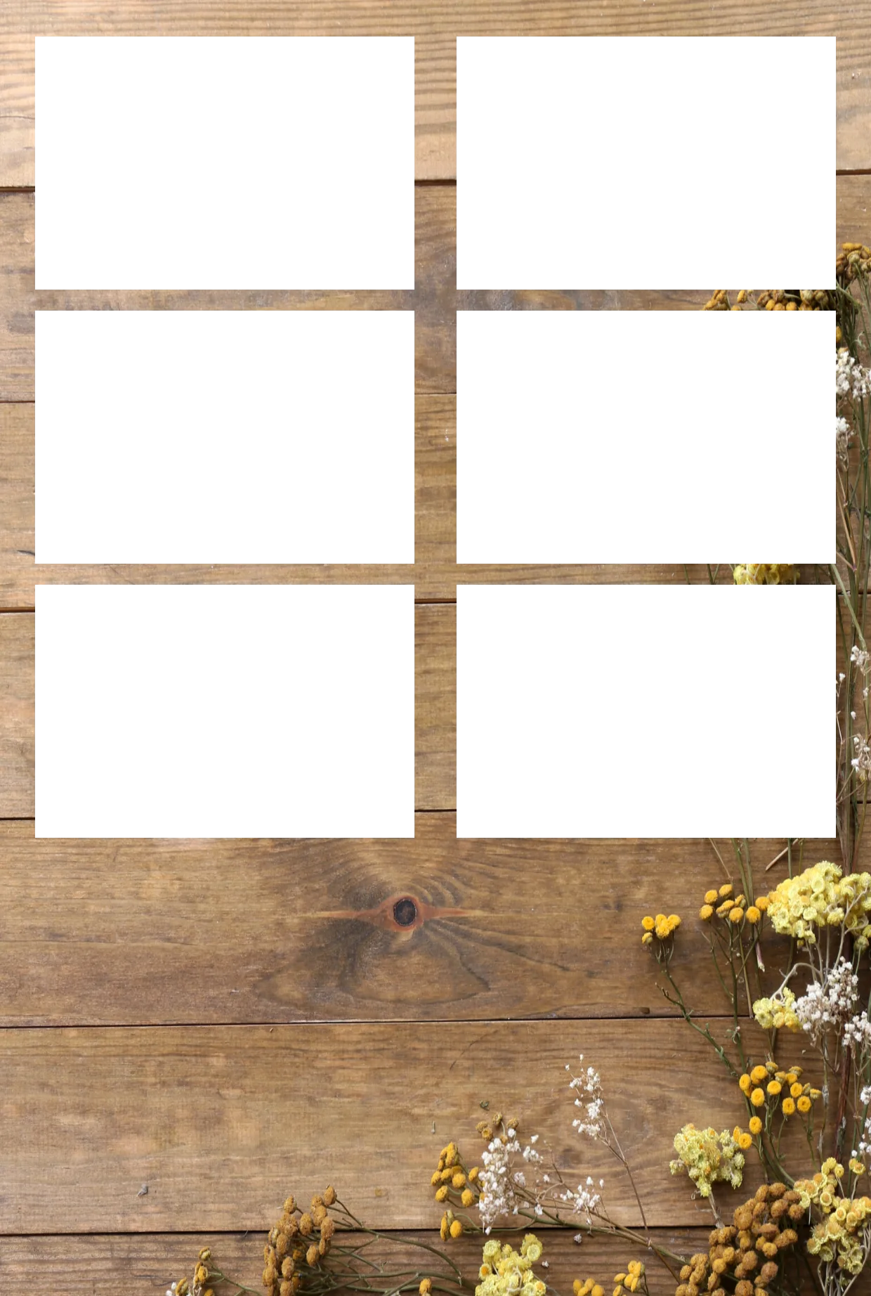 Blumen 02 – Fotostreifen