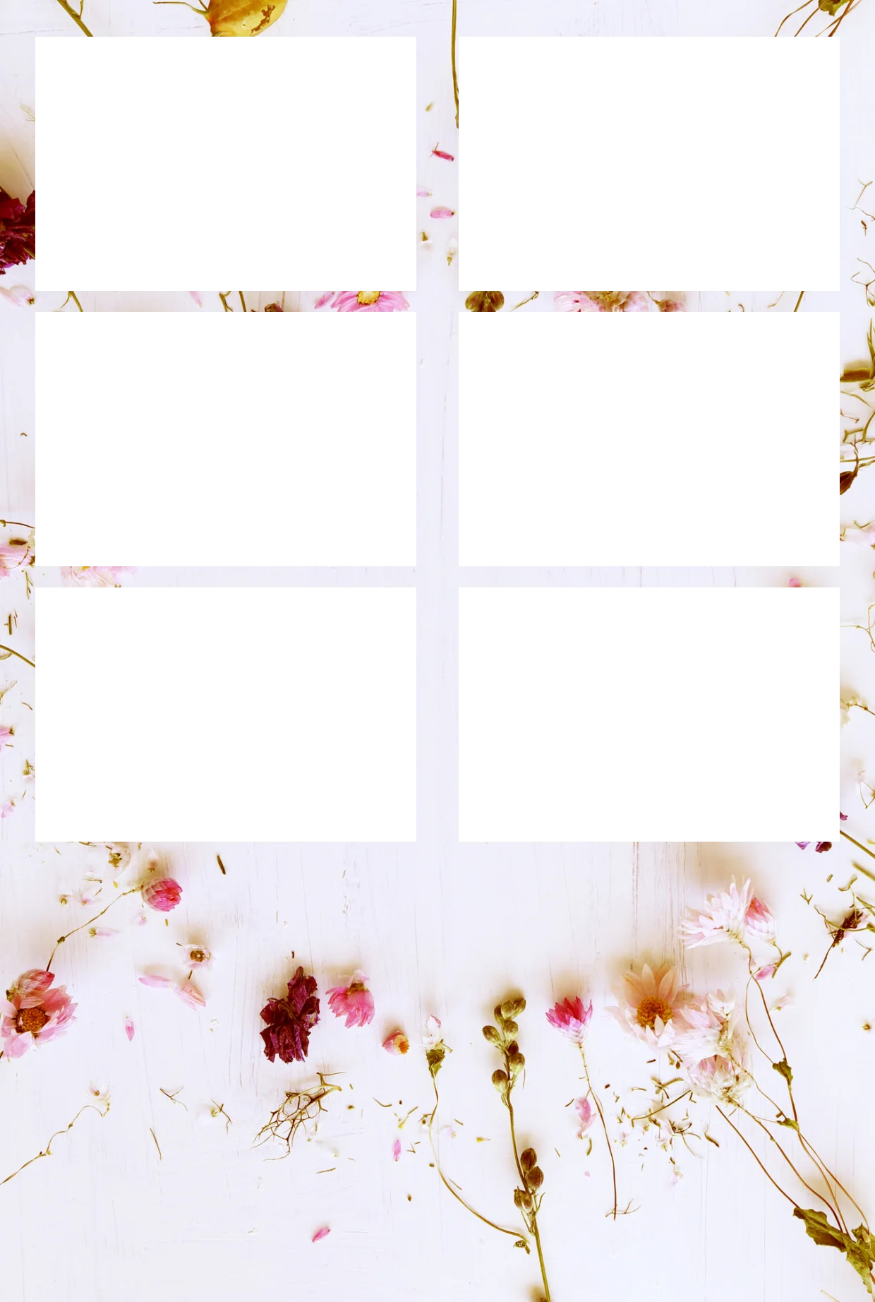 Blumen 06 – Fotostreifen