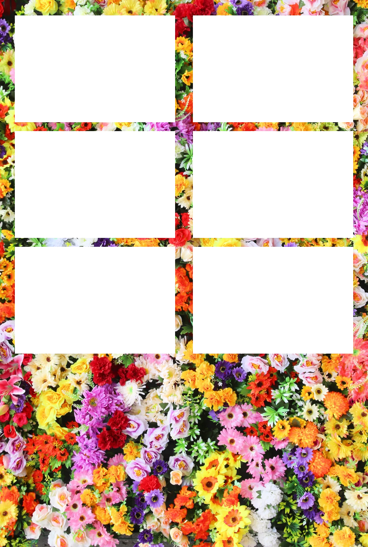 Blumen 08 – Fotostreifen