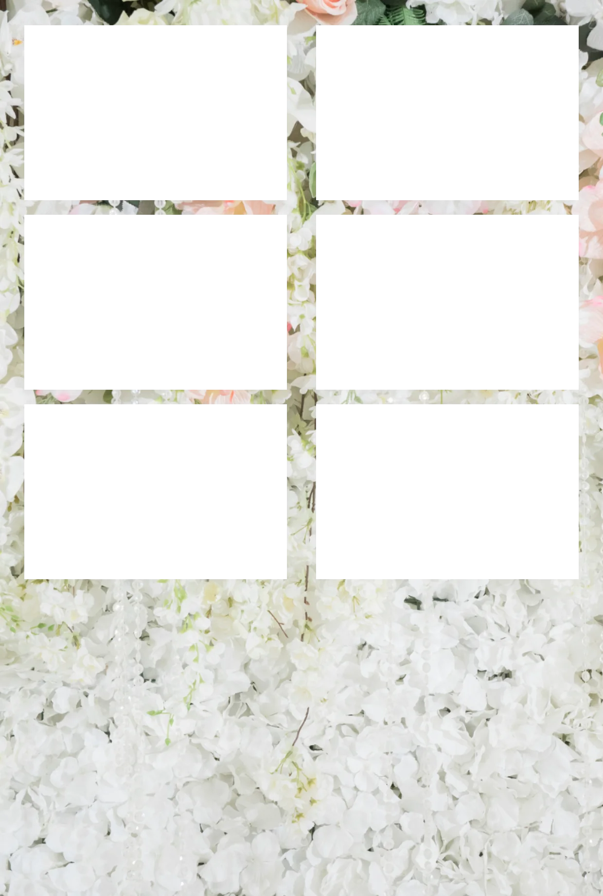Hochzeit 05 – Fotostreifen