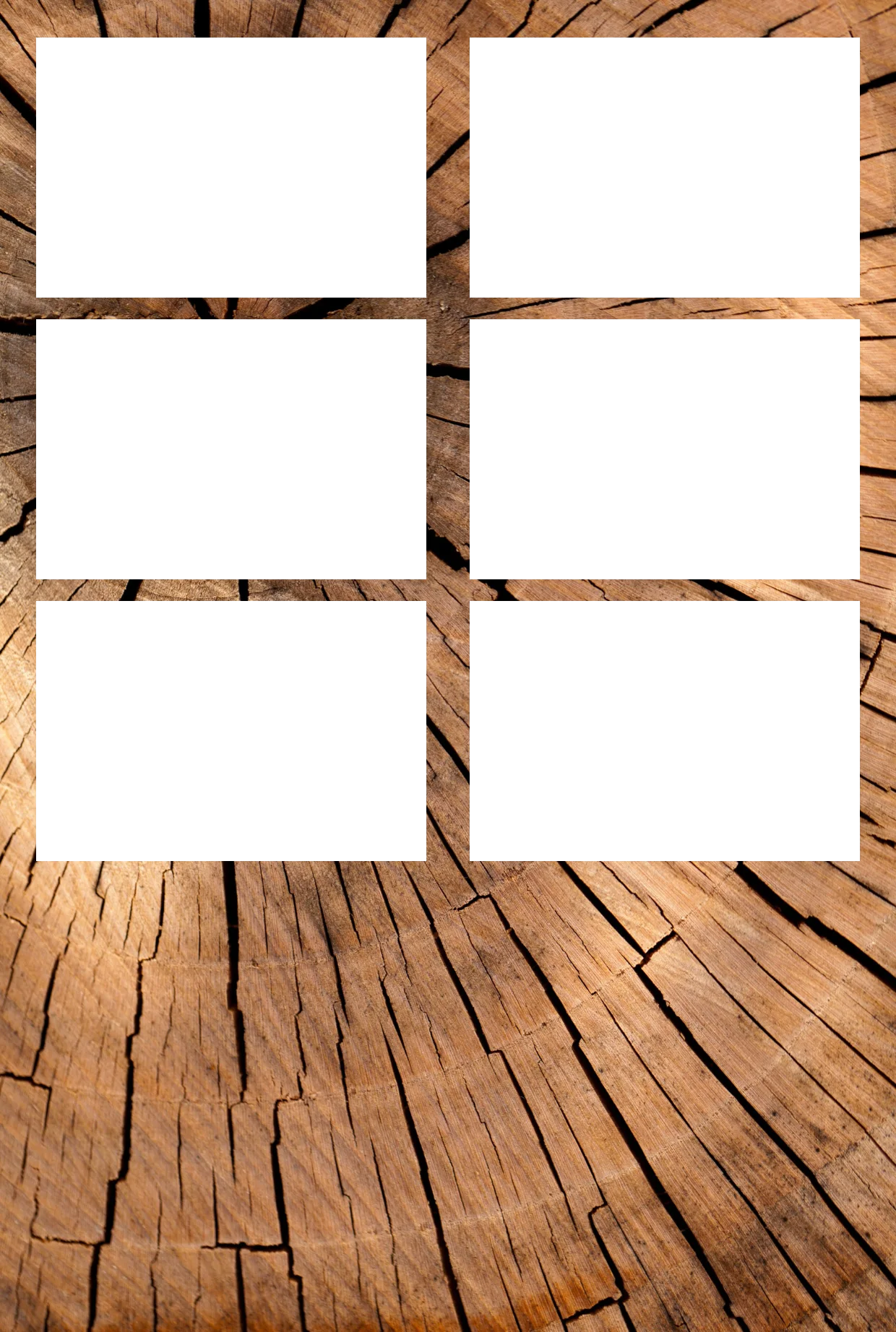Holz 03 – Fotostreifen