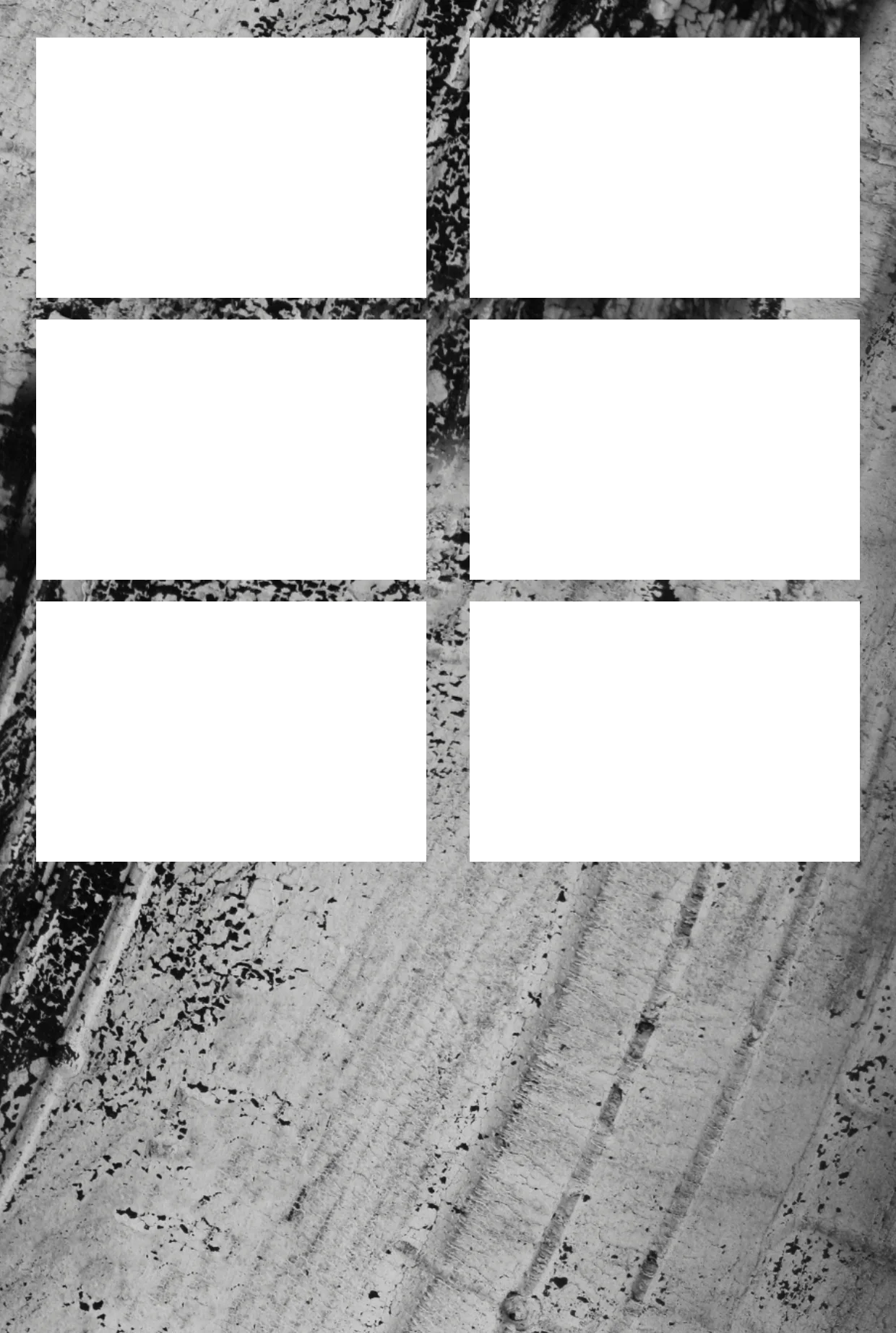 Schwarz 09 – Fotostreifen