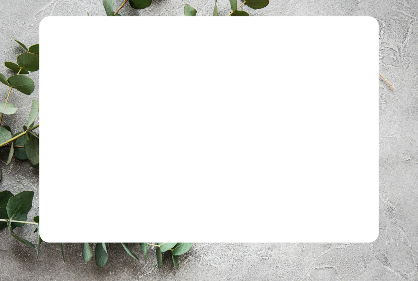 Eukalyptus 07 – Foto mit Rahmen