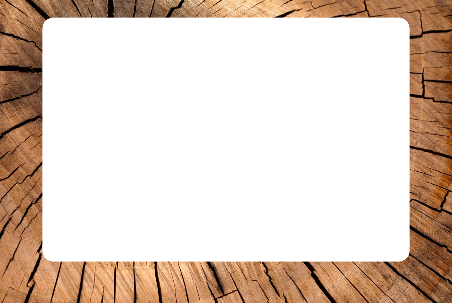 Holz 03 – Foto mit Rahmen